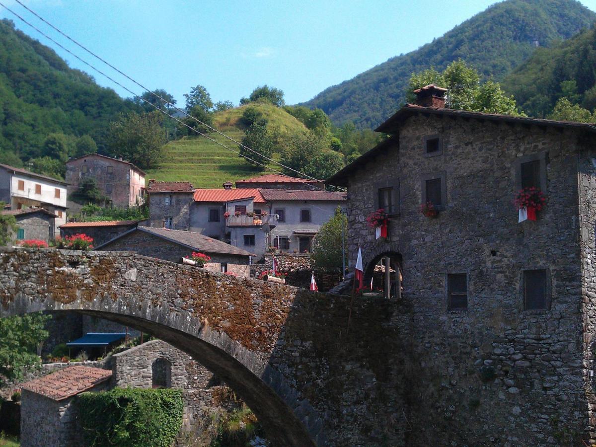 Belvilla By Oyo Olivi Verde San Quirico  エクステリア 写真