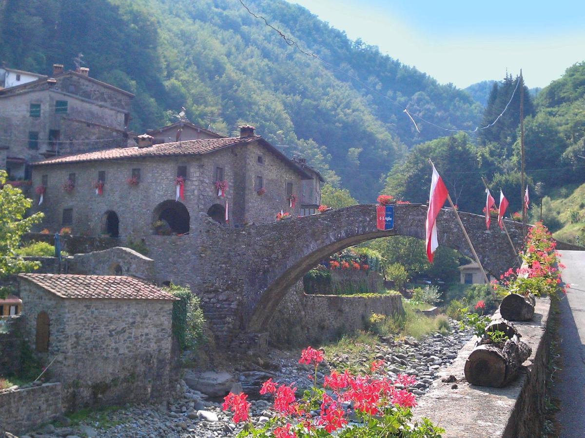 Belvilla By Oyo Olivi Verde San Quirico  エクステリア 写真
