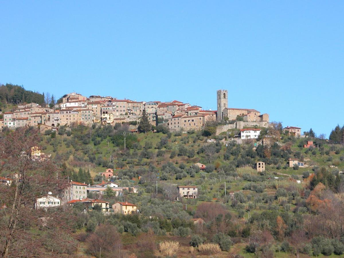 Belvilla By Oyo Olivi Verde San Quirico  エクステリア 写真