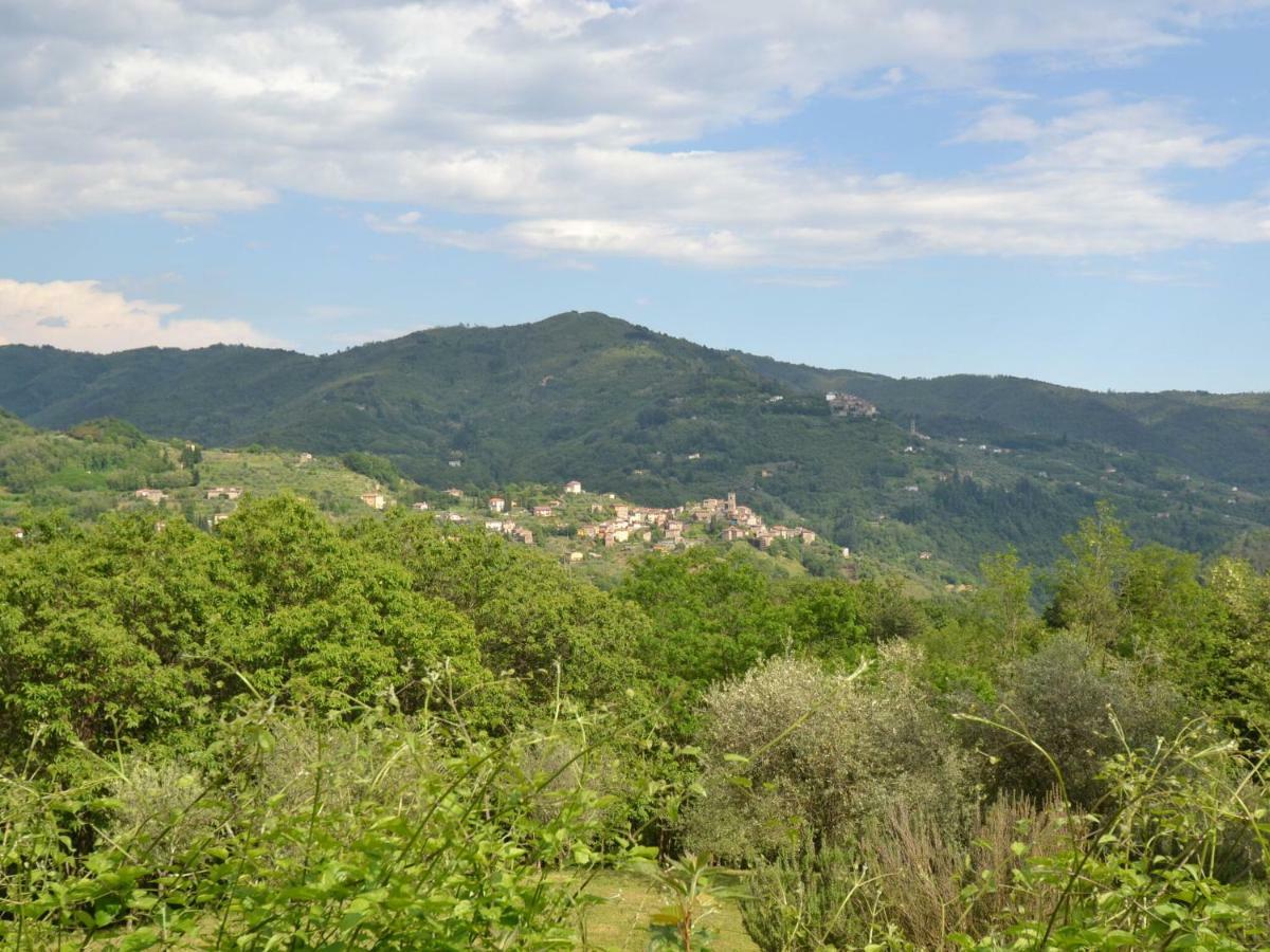 Belvilla By Oyo Olivi Verde San Quirico  エクステリア 写真